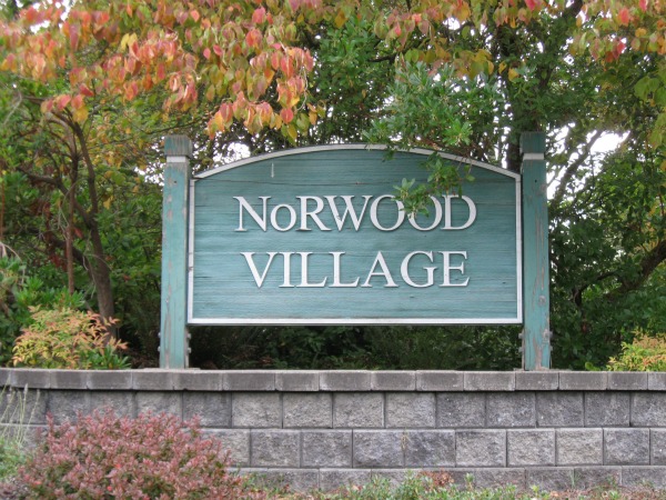 NORWOOD VILLAGE: PARKS, POOLS AND MODERNS