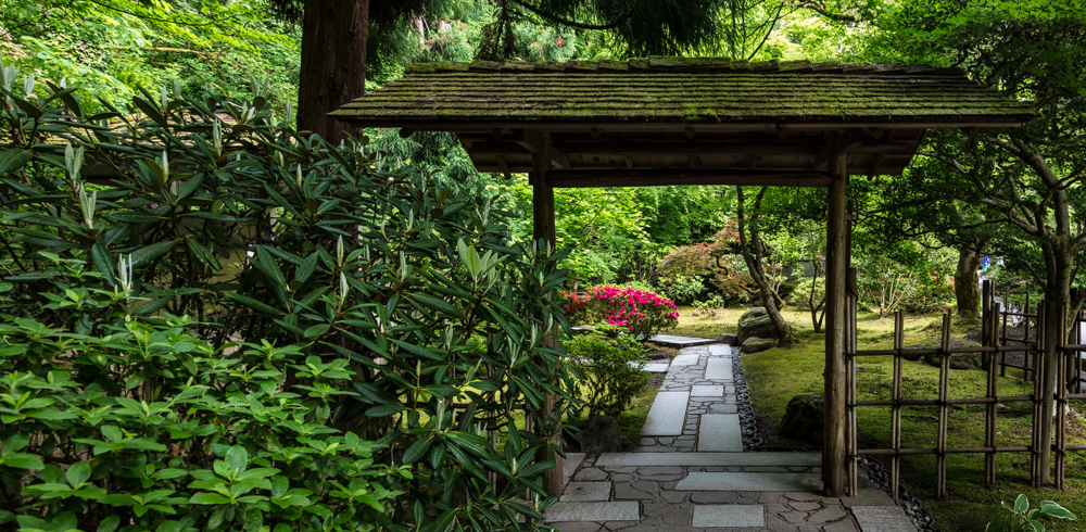 A Calming Tour through the Portland Japanese Garden